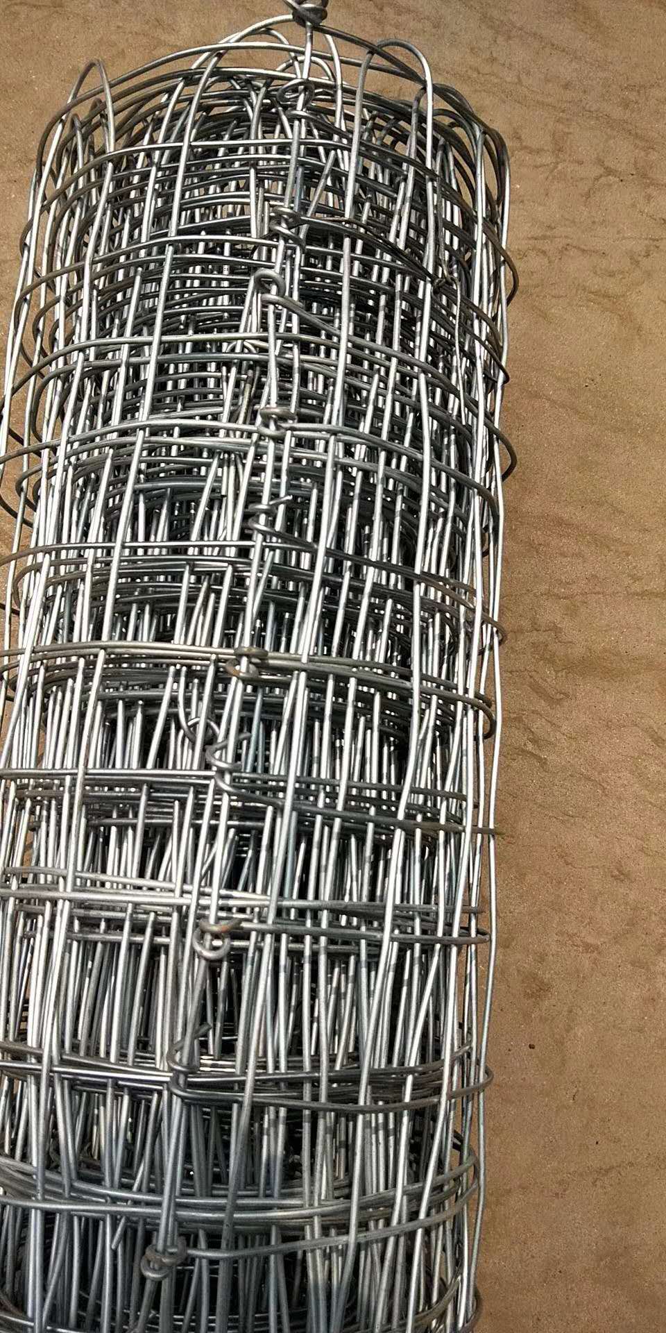 運城鍍鋅經緯網圖片1